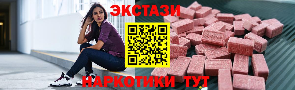 МЕФ Камышин
